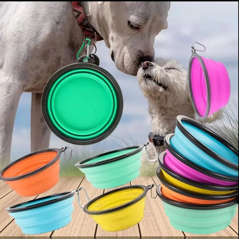 Pet 🪢 Walk & Play Bundle - 6 Pieces